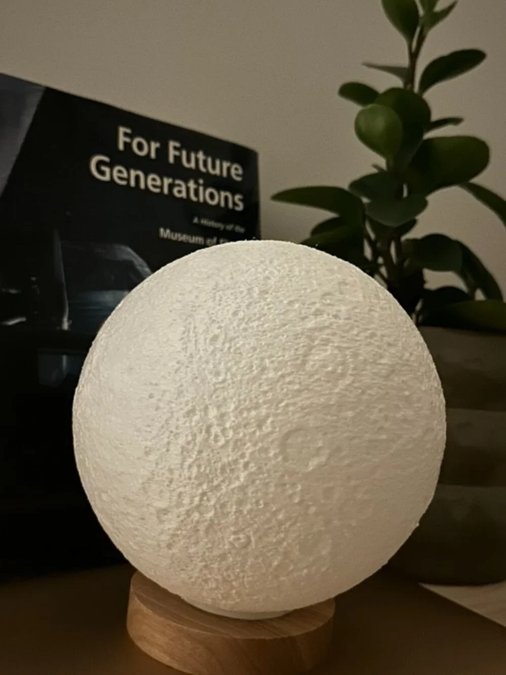3D Printed Moon Lamp with Wooden LED Stand | Cozy Lunar Night Light